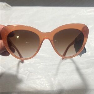 J. Crew Stylish Brown Sunglasses